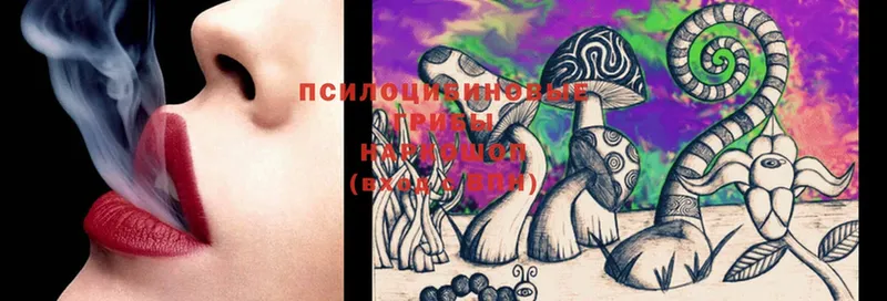 где продают   Кинель  Псилоцибиновые грибы MAGIC MUSHROOMS 